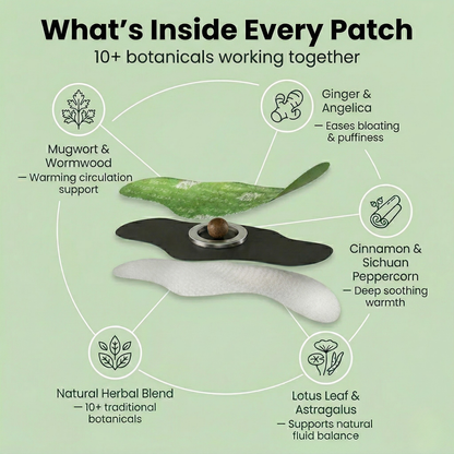 Transform Your Belly Overnight, Naturally